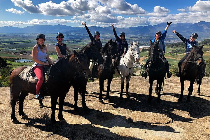 Explore the vineyards 